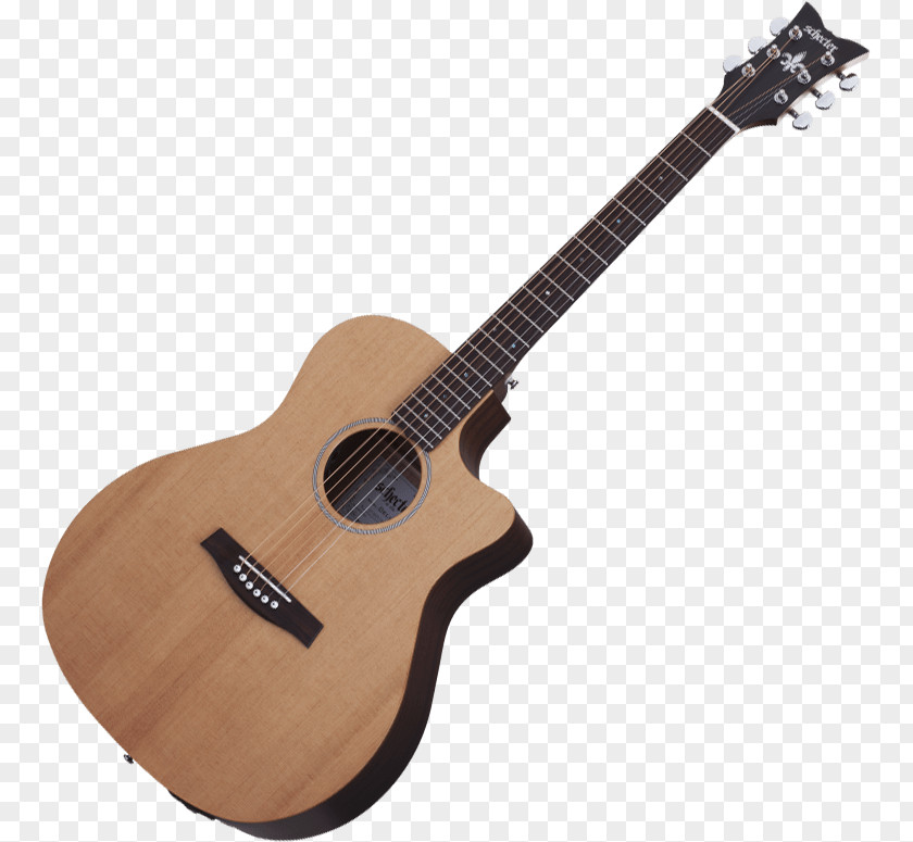 Acoustic Gig Guitar Acoustic-electric Cutaway Dreadnought Takamine Guitars PNG