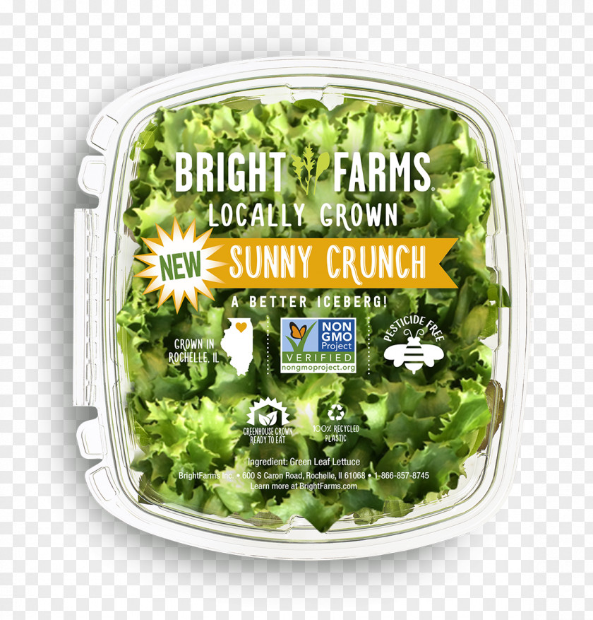 Fresh Salad Lettuce BrightFarms Agriculture PNG