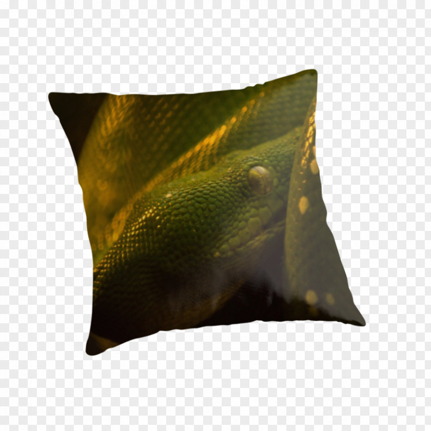 Green Tree Python Knee Socks Throw Pillows Каонаси PNG