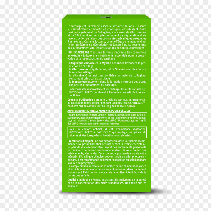 Meniscus Green Font PNG