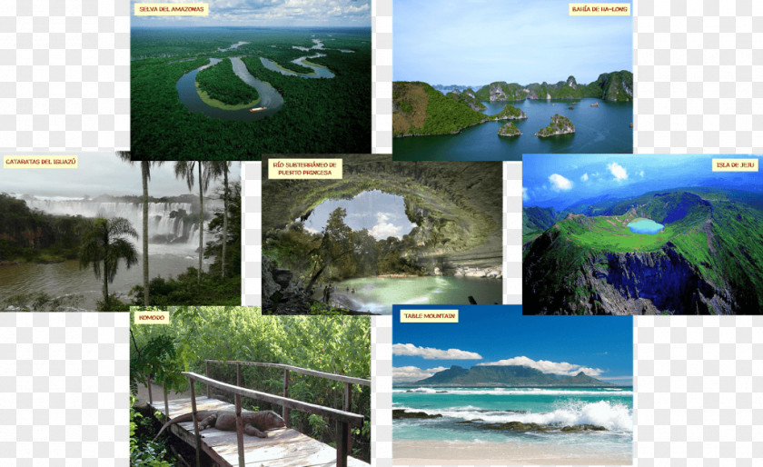 7 Wonders New7Wonders Of The World Water Resources Jeju Province Ecosystem PNG