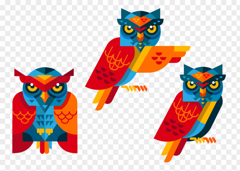 Creative Owl Illustration PNG