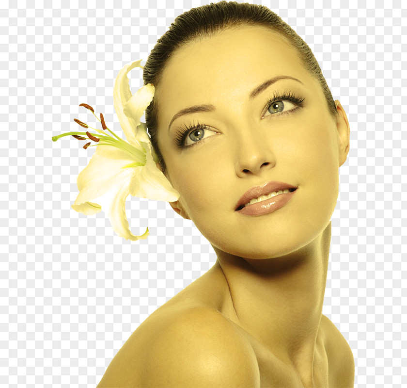 Face Facial Skin Care Dermis Wrinkle PNG