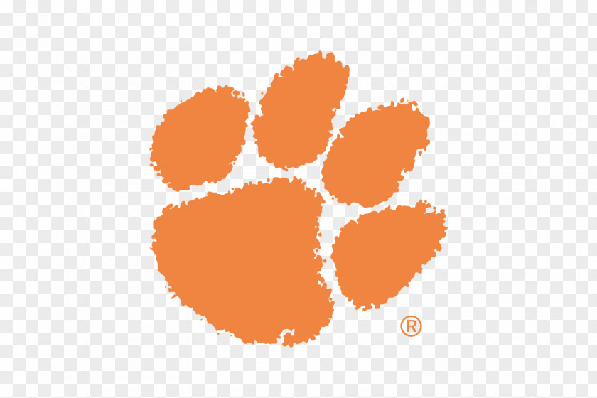 TIGER VECTOR Clemson Tigers Football University Men's Basketball Logo PNG