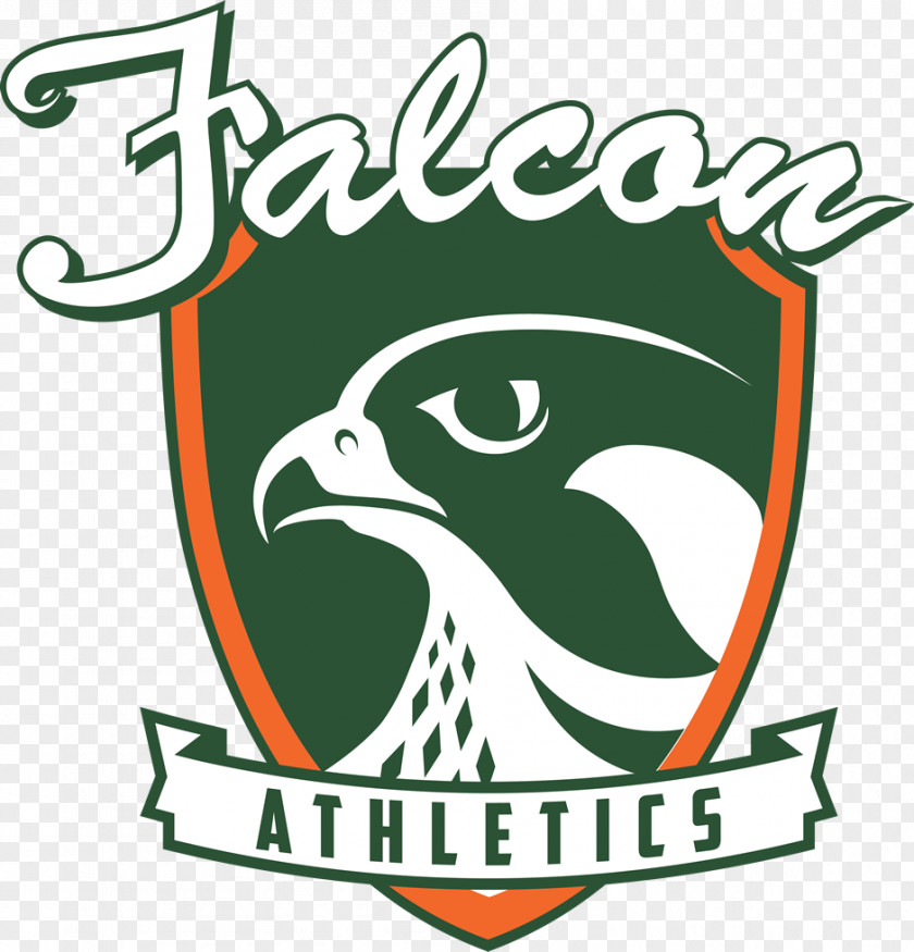 Atlanta Falcons Sport American Football Mascot Team PNG
