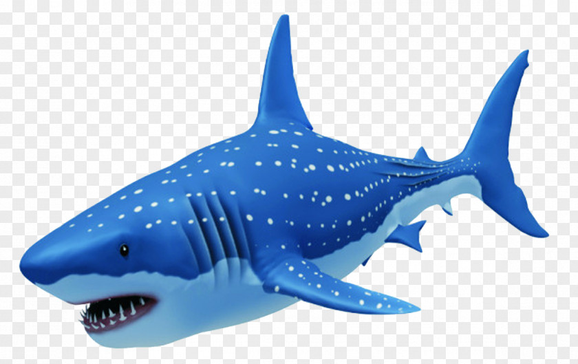 Big Shark Requiem Great White PNG