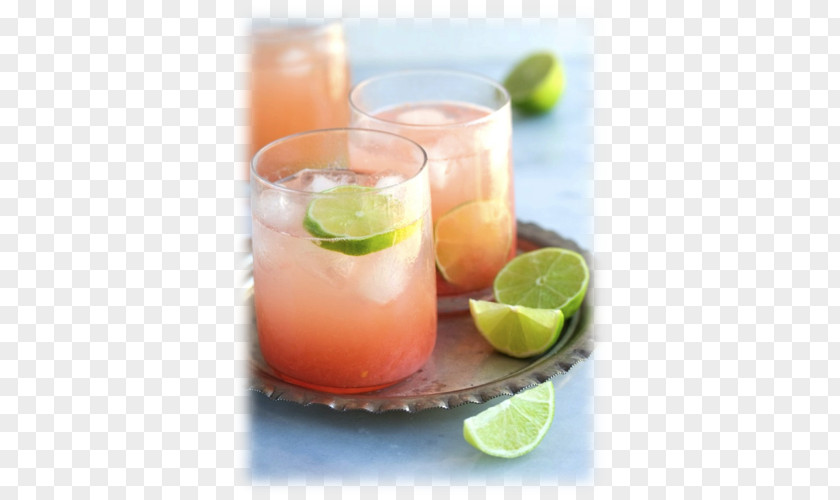 Cocktail Paloma Tequila Grapefruit Juice Margarita PNG