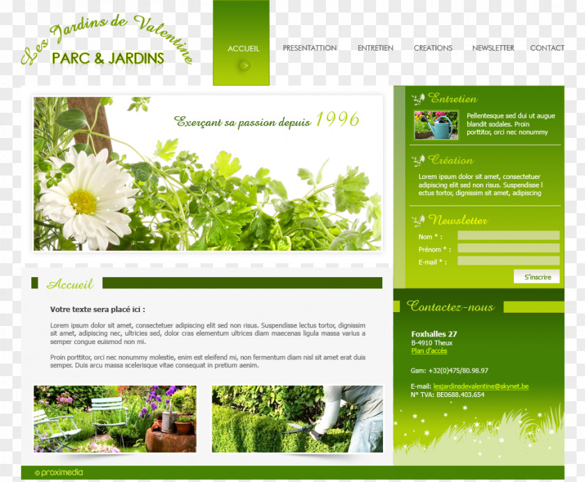 Layout Herb Gardening: Grow Herbs For Healing And Cooking Flora Web Page Reference Work PNG