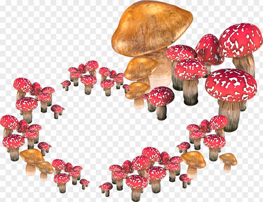 Nuclear Mushroom Google Images GIF Tree PNG