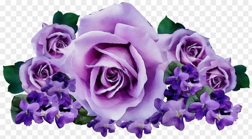 Plant Rose Family Garden Roses PNG