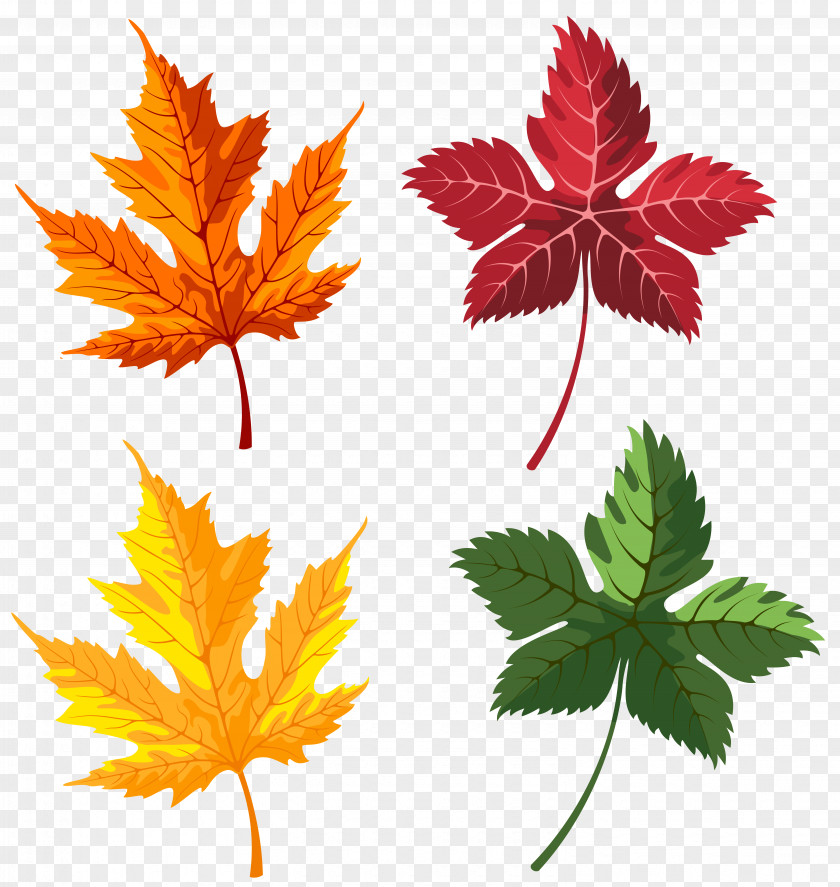Autumn Leaves Set Clipart Image Leaf Clip Art PNG