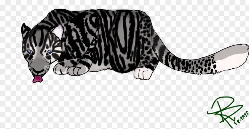 Cat Tiger Puma PNG