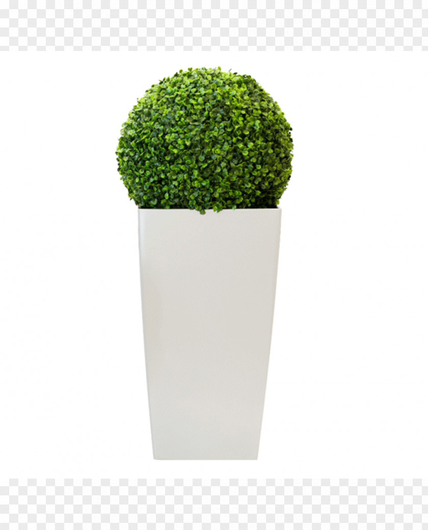 Design Flowerpot PNG