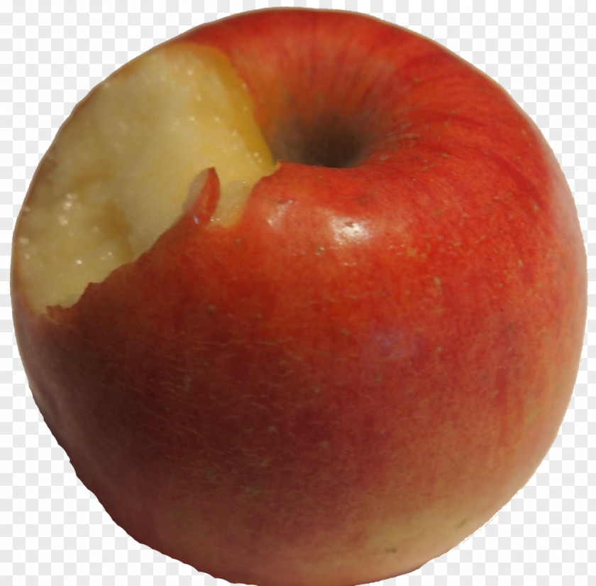 Diet Food Local Nectarine PNG