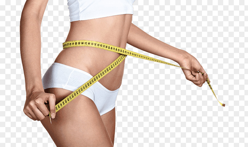 Diet Meter Human Body Waist Liposuction Adipose Tissue Female Shape PNG