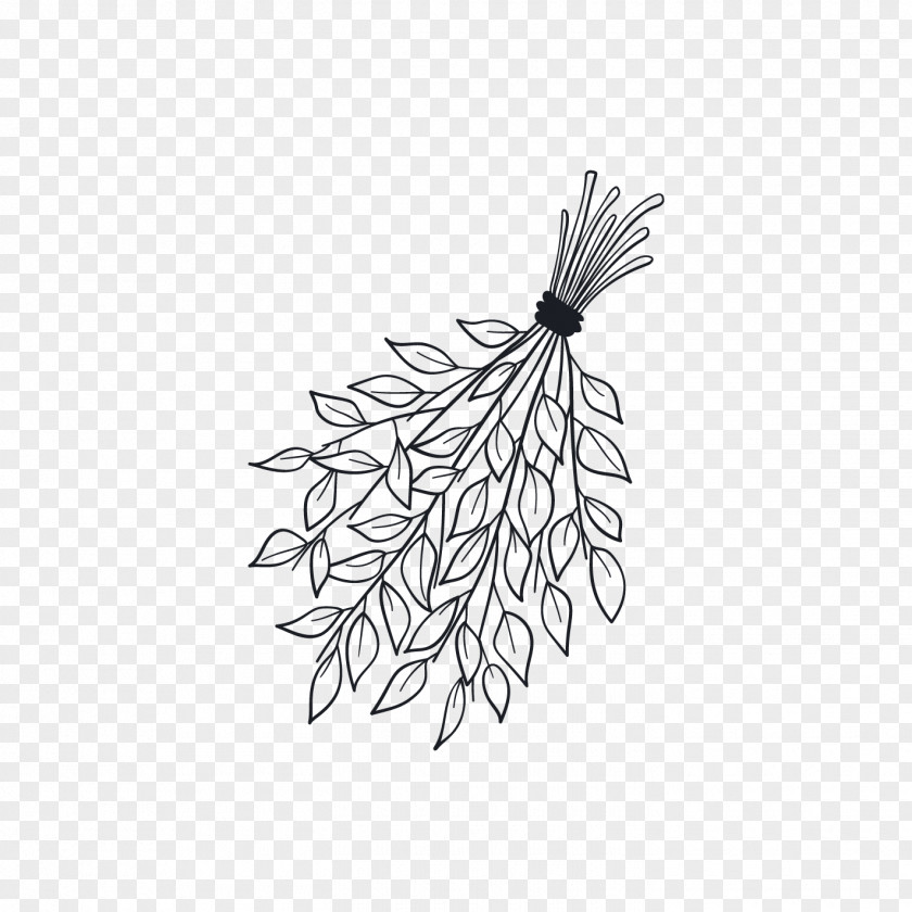 Line Flowering Plant Art Leaf Font PNG