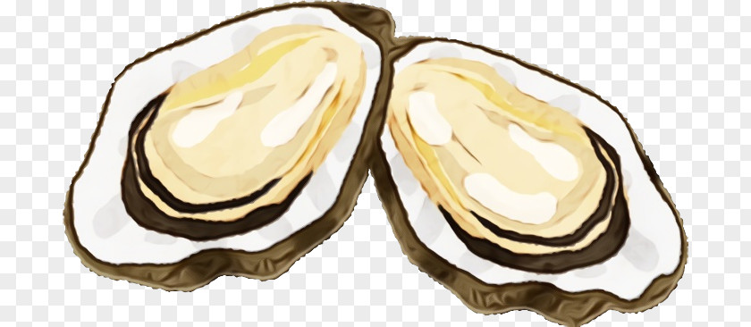 Oyster Food Legume Bivalve PNG