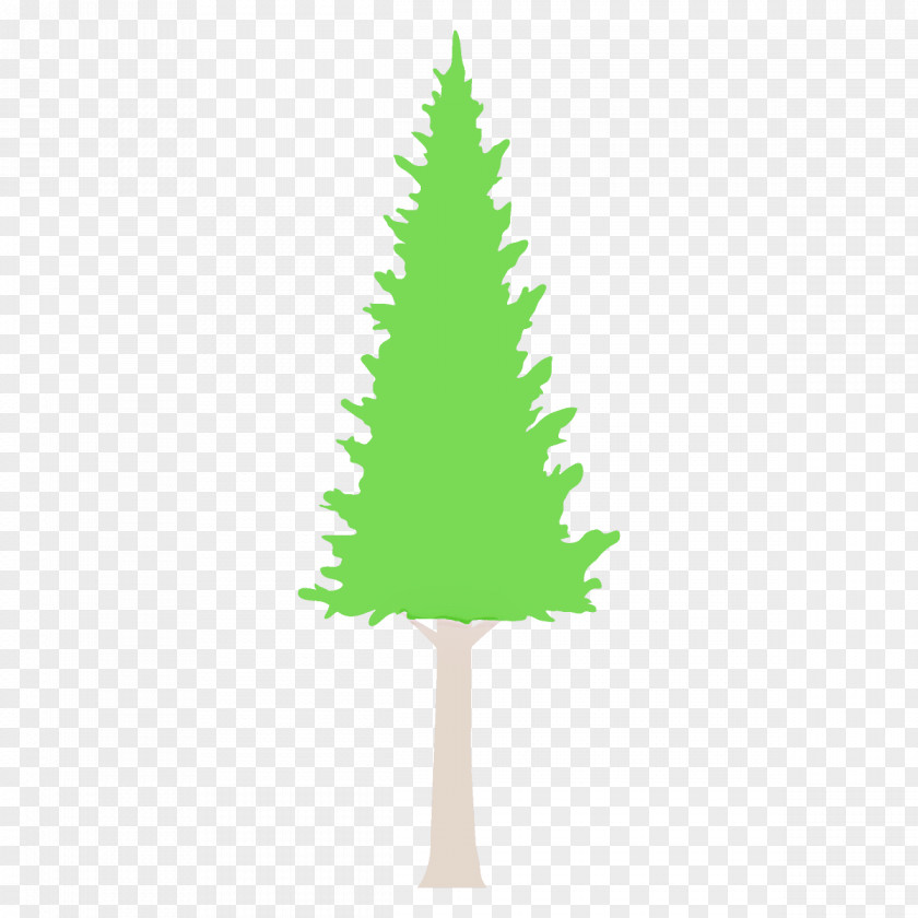 Plant Christmas Decoration Tree PNG