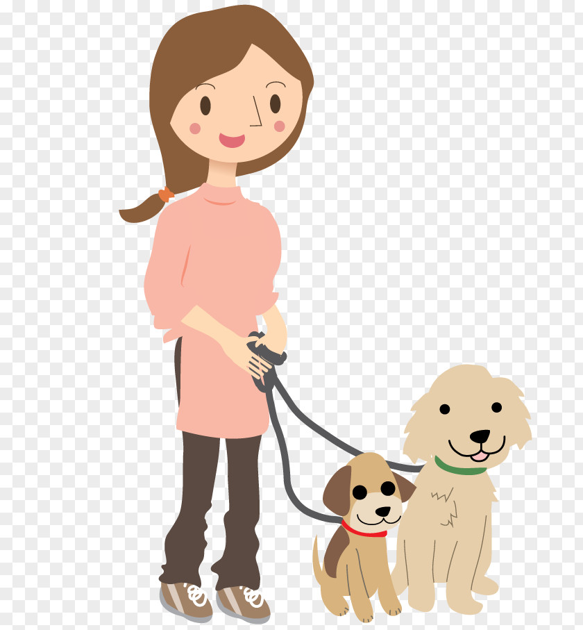 Play Companion Dog Golden Retriever Background PNG