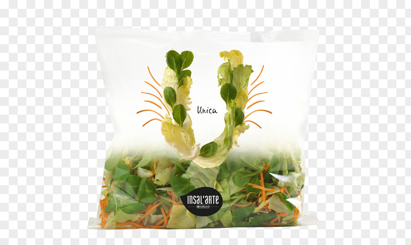 Chopped Vegetables Herb Organic Food Crisp Vegetable Packaging And Labeling PNG