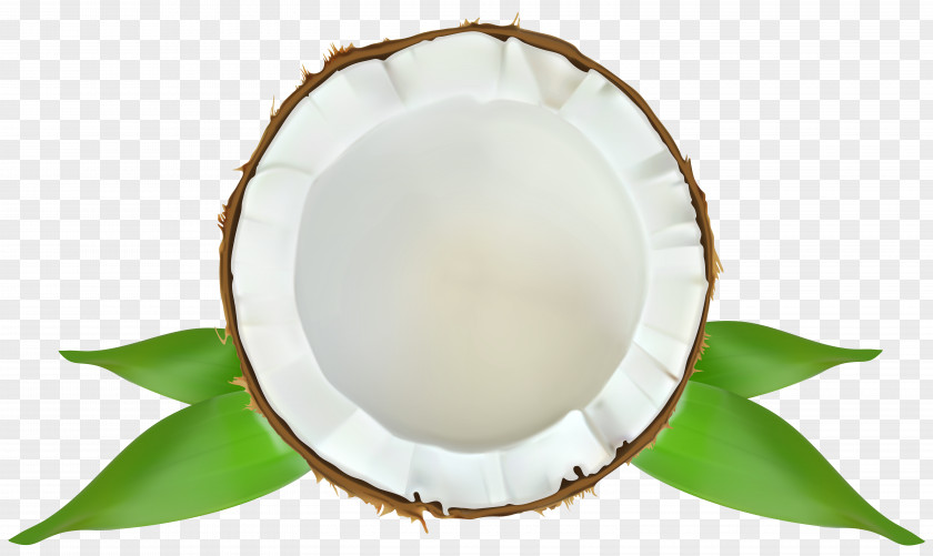Coconut Transparent Clip Art Image Tableware PNG