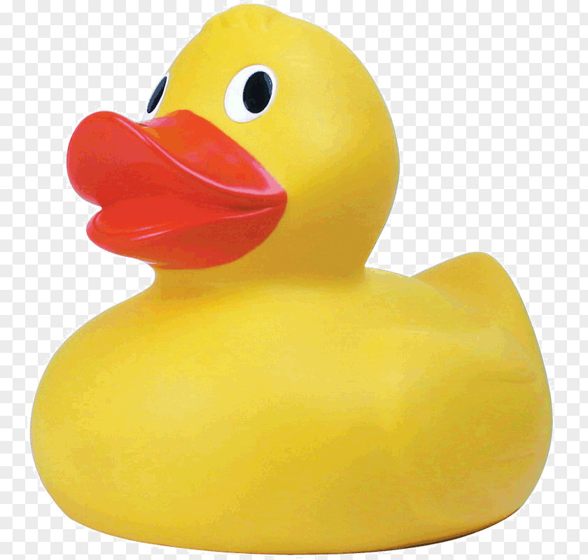 Duck Rubber Giant Bath Toy PNG