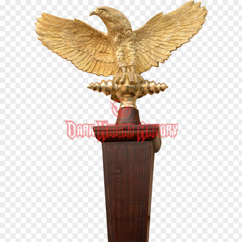 Eagle Ancient Rome Aquila Roman Legion Legionary Army PNG