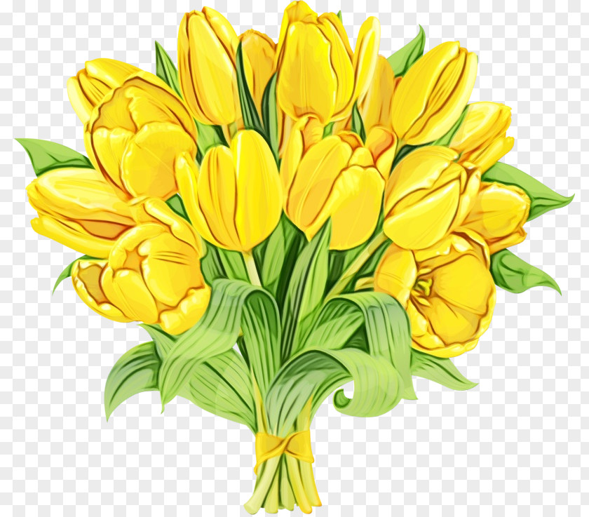 Flower Yellow Cut Flowers Plant Petal PNG