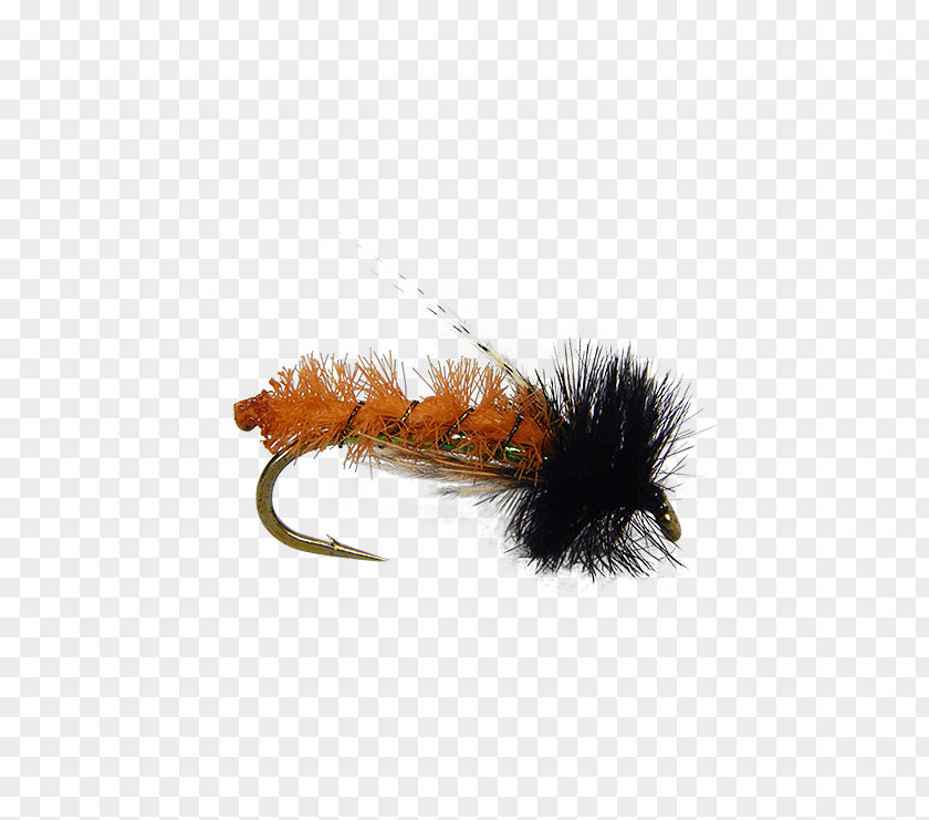 Flying Nymph Fly Fishing Caddisfly Tying Insect PNG