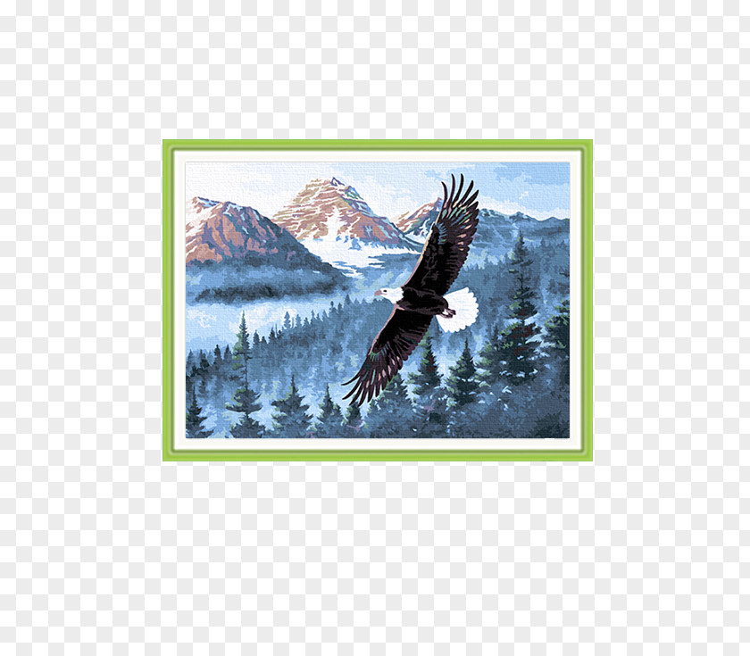 Golden Eagle Oil Painting Material Bald Art PNG