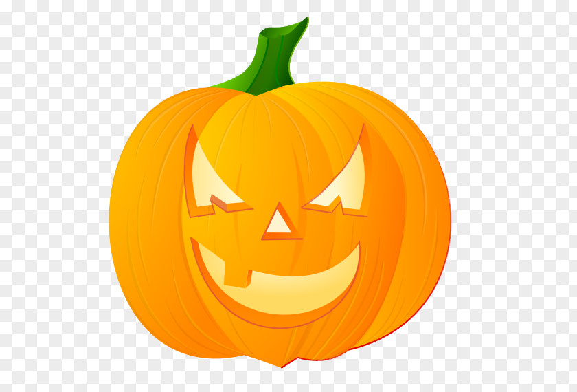 Halloween Pumpkin Photos Jack-o-lantern Clip Art PNG