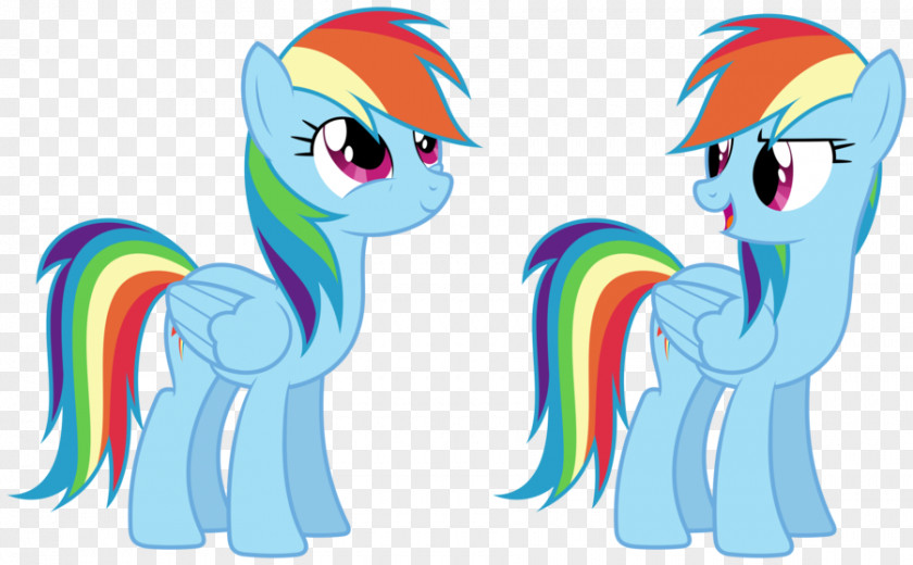 Horse My Little Pony Rainbow Dash PNG