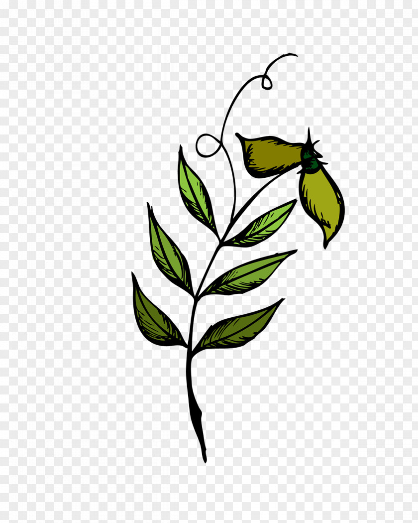 Leaf Twig Clip Art Plant Stem Flowering PNG