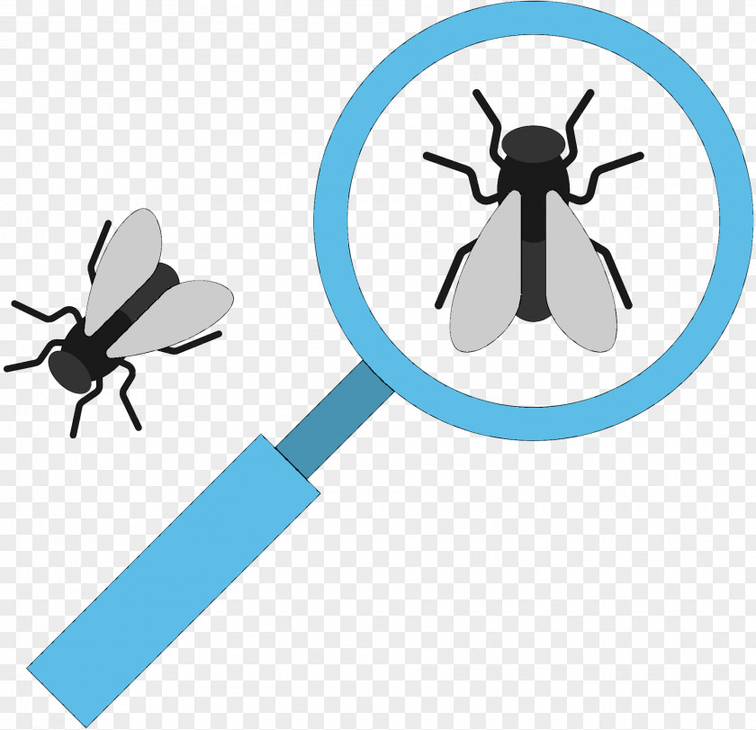 Mosquito Household Insect Repellents Fly Clip Art PNG