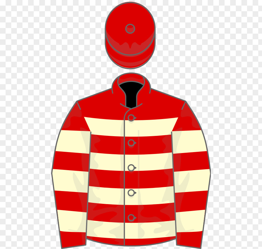 Thoroughbred Racing Silks Ballydoyle Horse Mayson PNG