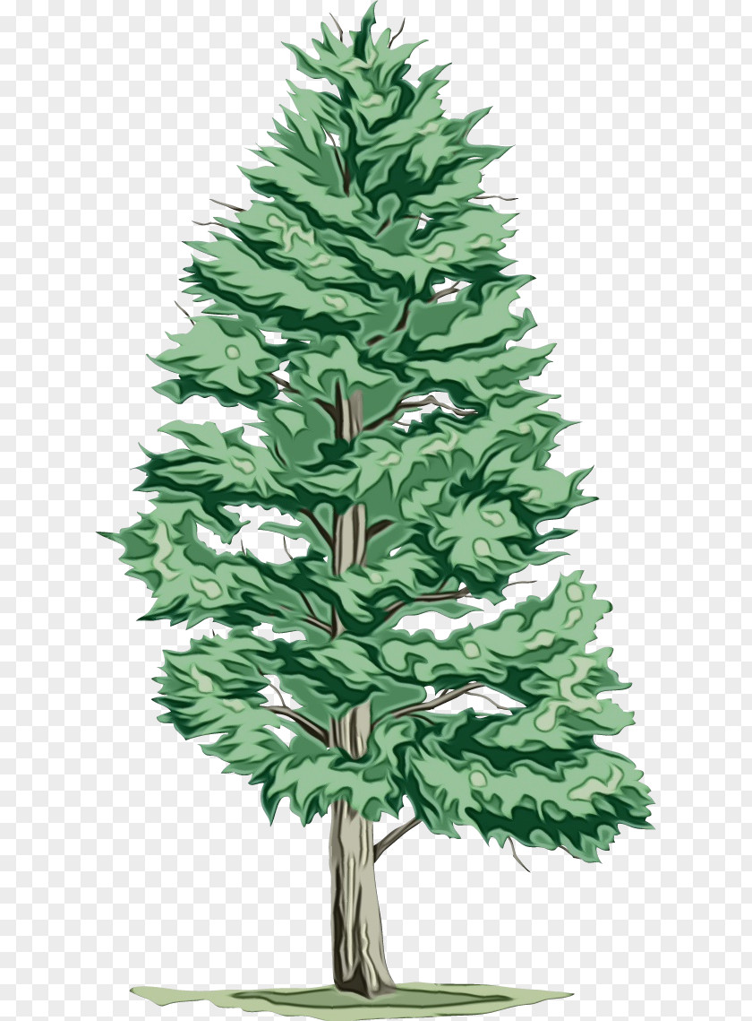 Christmas Tree PNG