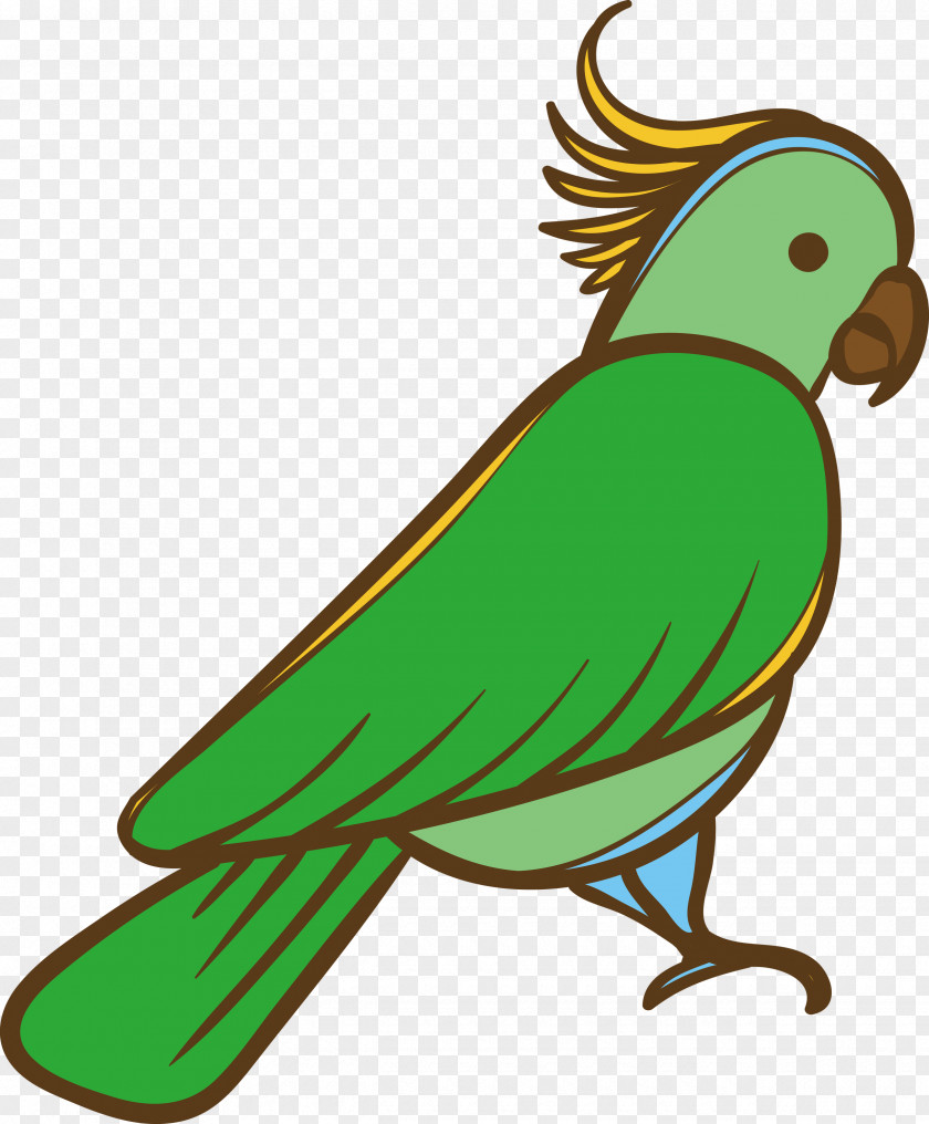 Feather PNG