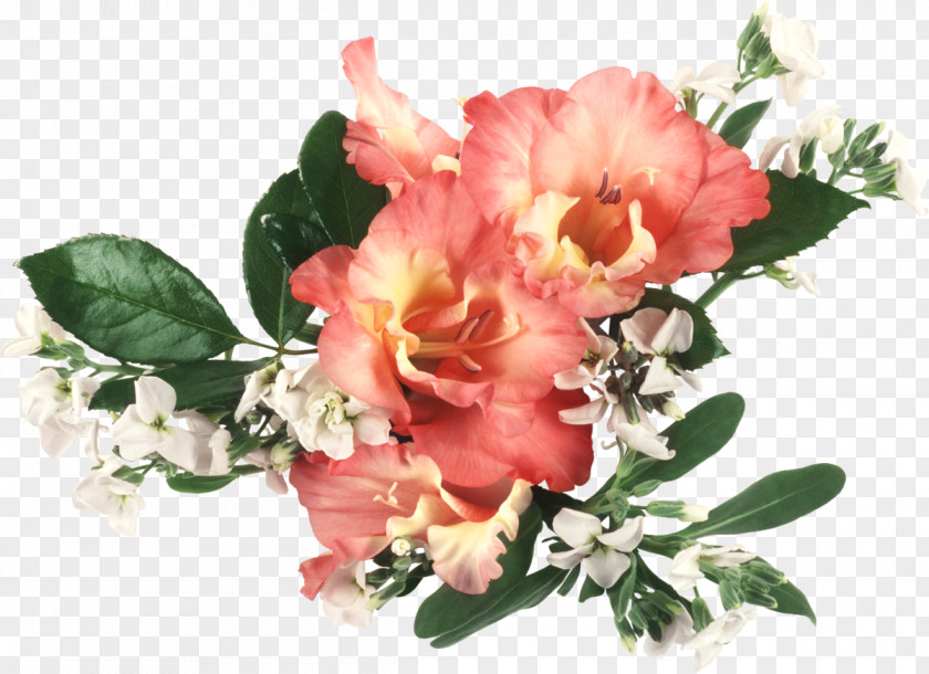 Peony Flower Bouquet Desktop Wallpaper Gladiolus Cut Flowers PNG