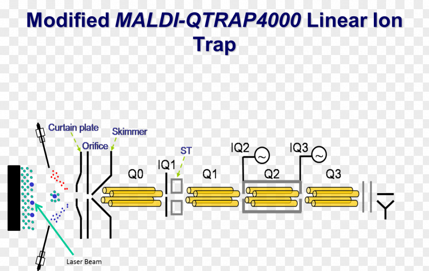 Quadrupole Ion Trap Mass Spectrometry Analyzer Linear PNG