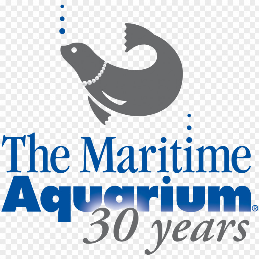 Shark Maritime Aquarium At Norwalk Mystic & Institute For Exploration Stepping Stones Museum Children PNG