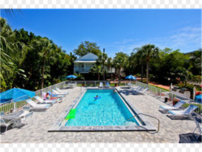 Swimming Pool Little Gull Cottages Villa Hotel Accommodation Resort PNG