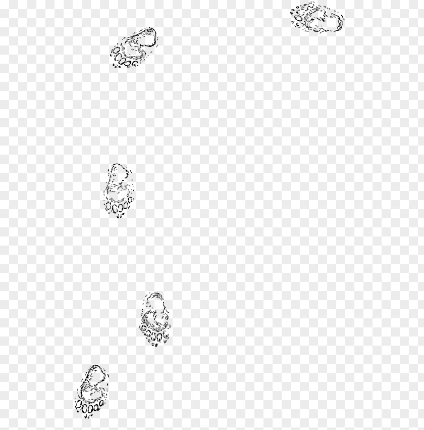 Bear Black And White Footprint Clip Art PNG