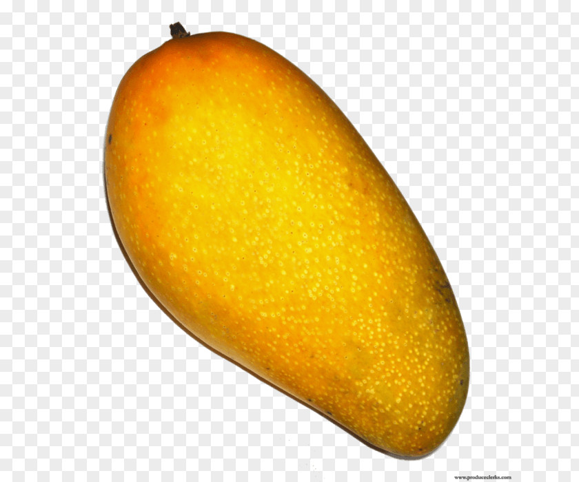 Mango Pudding Pickle Ataulfo Alphonso PNG