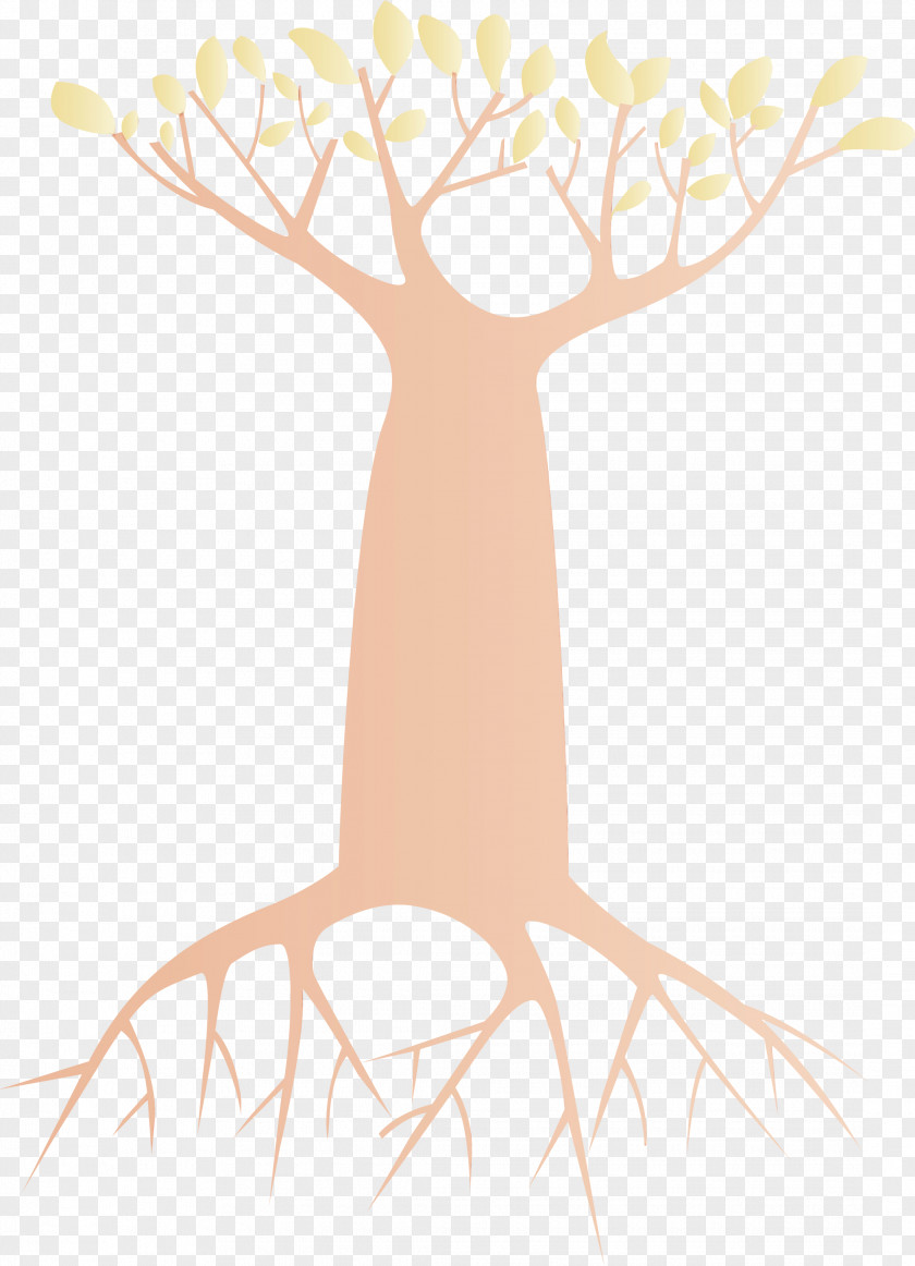 Root Branch Woody Plant Tree Trunk PNG