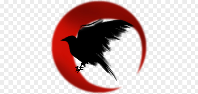 Symbol Common Raven Image Art PNG