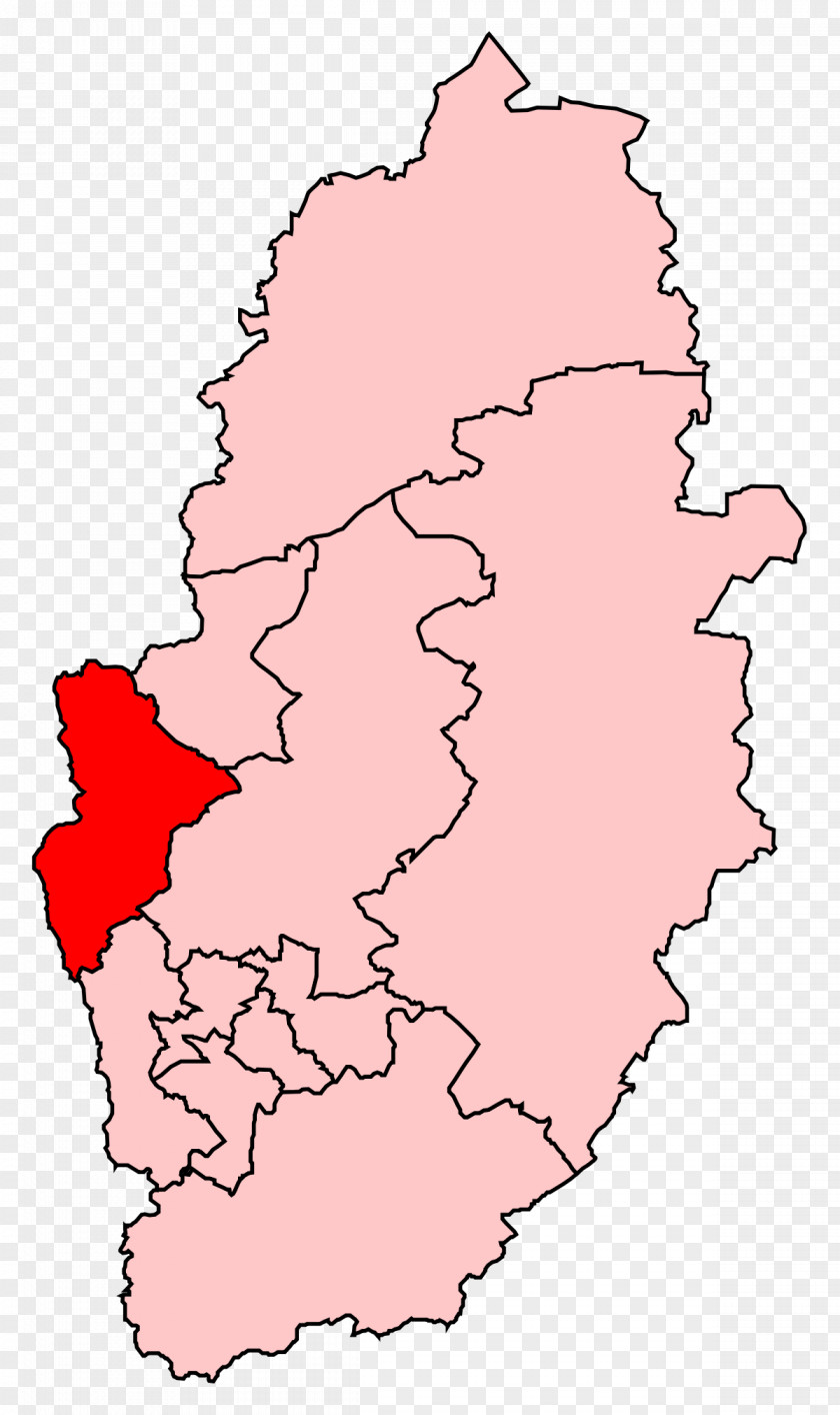 Asfeld Bassetlaw By-election, 1968 Electoral District Labour Party Politician PNG