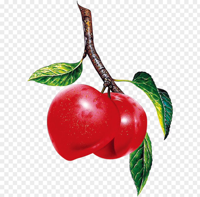 Cherry Barbados Berry Fruit Apple PNG