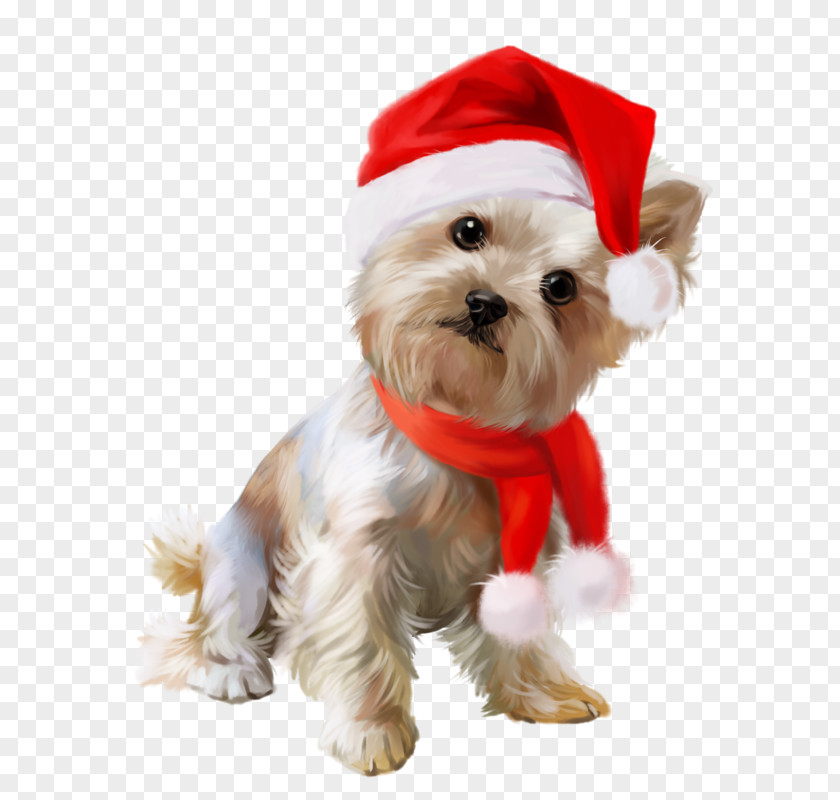 Dog New Year 0 Holiday Clip Art PNG