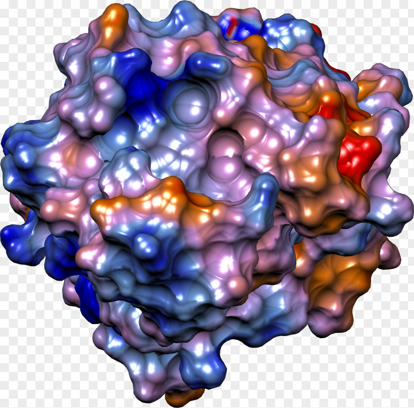 Globulin Art PNG