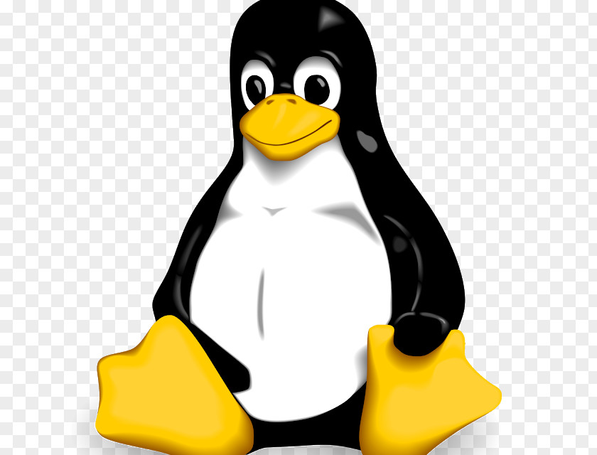 Linux Tux VectorLinux PNG